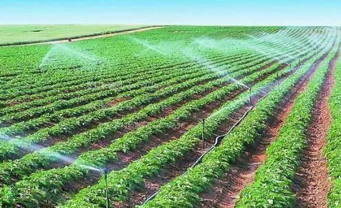 美女扒开尿口插的软件农田高 效节水灌溉